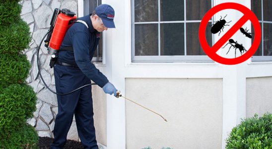 Bayraklı Haşere İlaçlama böcek ilaçlama ve haşere kontrolü — ilaclama-tr.com